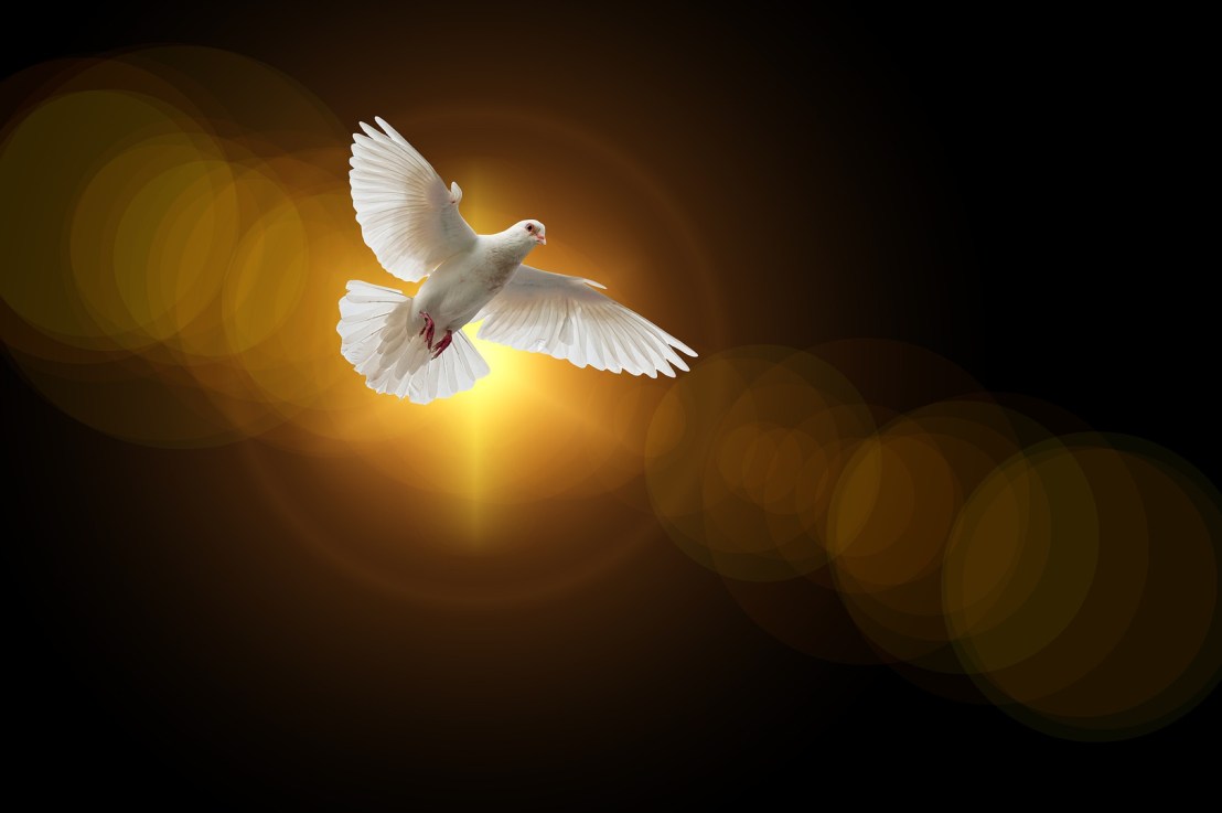 Our Daily Blessing: Holiness is&nbsp;Love