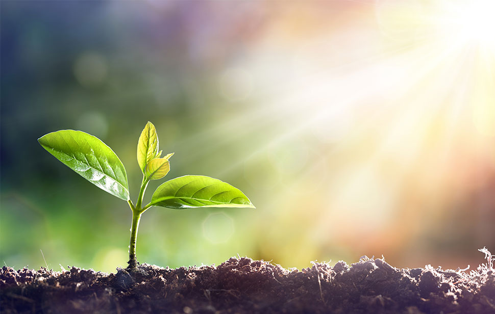 Our Daily Blessing: Eternal life is New life in&nbsp;Christ